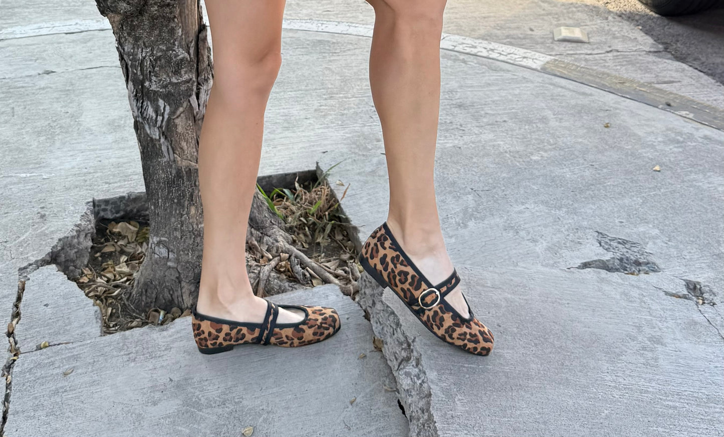 Flats leopardo